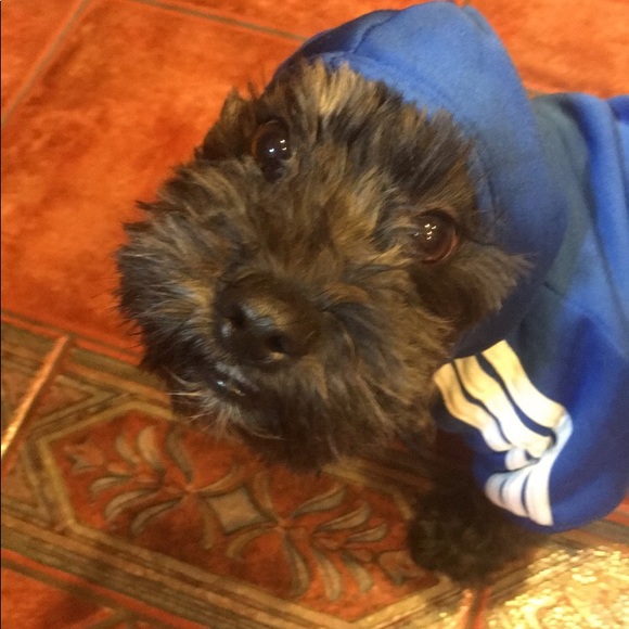 Meet your Posher, Evan - Picture 1 of 1